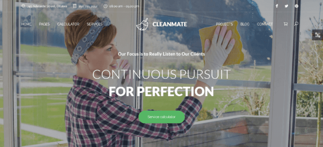 CleanMate