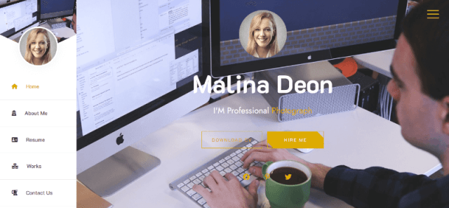 Journalist Resume WordPress Theme