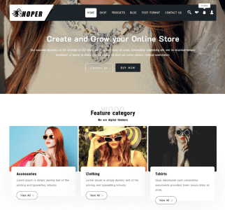 WordPress theme with video header